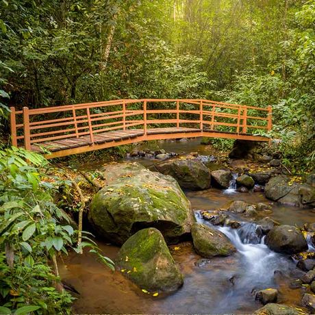 Blick auf eine Brücke auf einem Bach in der Nähe der Heliconias Nature Lodge