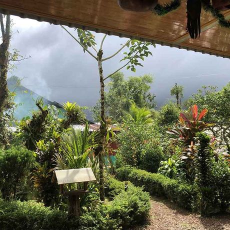 Bungalow und Cabinas Posada Río Celeste Garten 01 Blick auf den Garten der Bungalow und Cabinas Posada Río Celeste
