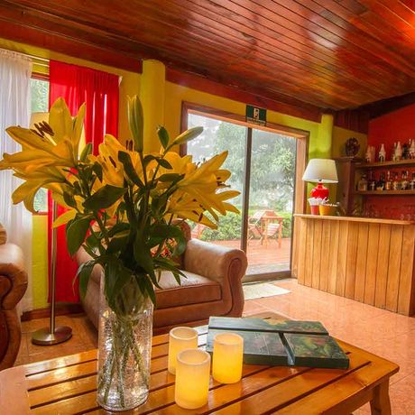 Pension Casa Batsu Blumenstrauß Bar mit Sitzecke mit Blumenstrauß