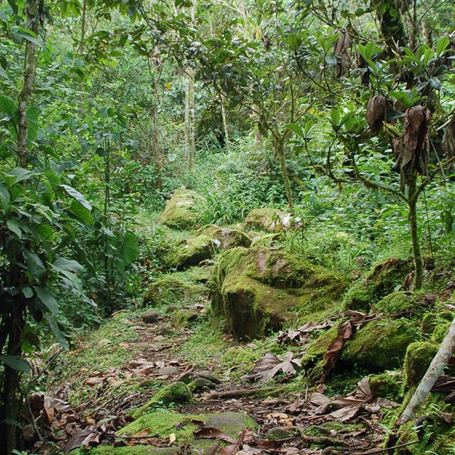 Naturkundliche Wanderung Verwunschener Weg
