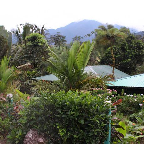 Bungalow und Cabinas Posada Río Celeste Garten 03 Blick auf das Garten der Bungalow und Cabinas Posada Río Celeste