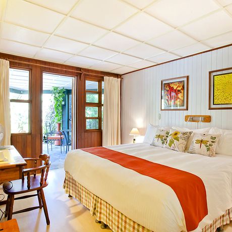 Blick in ein Standardzimmer im Hotel Monteverde Lodge