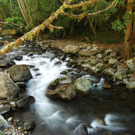 Fluss entlang des Hotels Savegre
