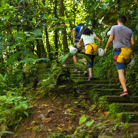 Pacuare Lodge Wanderung durch den Dschungel Pacuare Lodge Wanderung durch den Dschungel