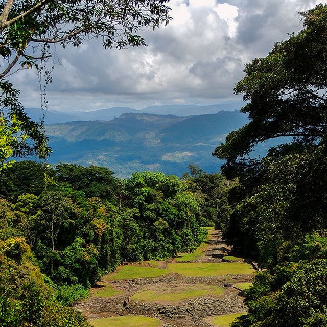Costa Rica Guayabo