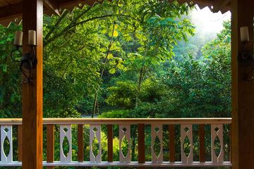 Pacuare Lodge Linda Vista Villa Blick in den Dschungel