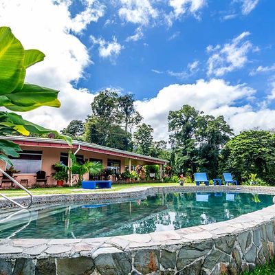 Hotel Nepenthe Pool-03