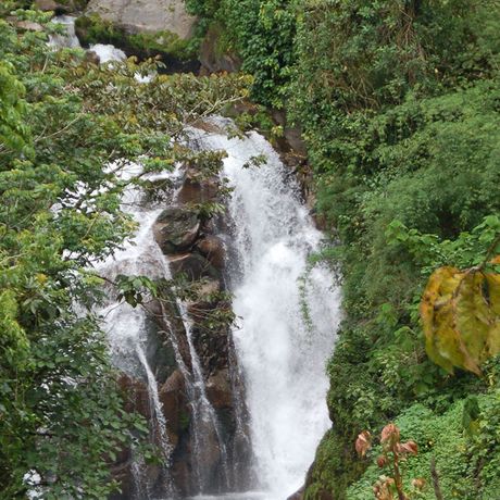 Urwaldwanderung Cloudbridge Wasserfall Das Reservat verfügt über natürliche Wasserquellen