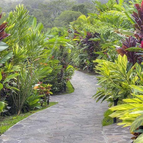 Costa Rica Resort Gartenpfad Gepflasterter Weg durch eine grüne Gartenanlage
