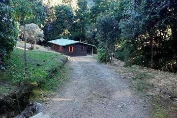 Bungalow Miriam's Quetzals 4er Bungalow 03