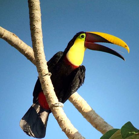 Genießen sie die Flora und Fauna unter Leitung von erfahrenen Guides.