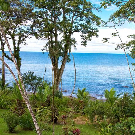 Dschungel-Lodge Copa de Arbol Ausblick 01 Ausblick von der Dschungel-Lodge Copa de Arbol aufs Meer