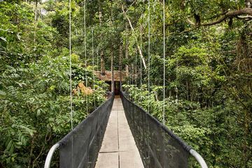 Pacuare Lodge Canopy Villa Anreise über Hängebrücke