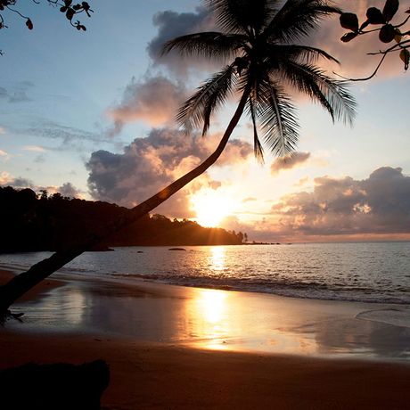 Costa Rica Strandunterkunft Sonnenuntergang Sonnenuntergangsstimmung am feinen Sandstrand mit Palme