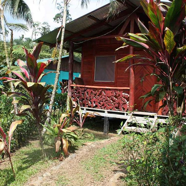 Bungalow und Cabinas Posada Río Celeste Außenansicht