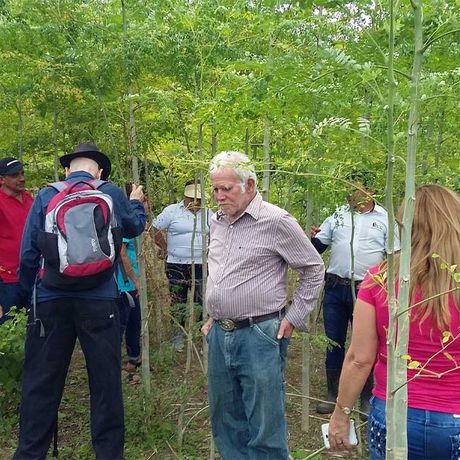 Blick auf eine Ausflugsgruppe beim Tagesausflug Finca Don Juan Einblick in die Landwirtschaft