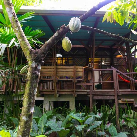 Aussenansicht des Standardzimmers der Bungalow + Cabina Kukula Lodge