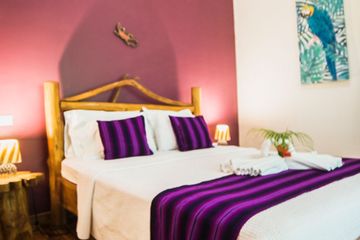 Bungalows-und-Cabinas-Pequeño-Gecko-Verde-Superiorzimmer 02