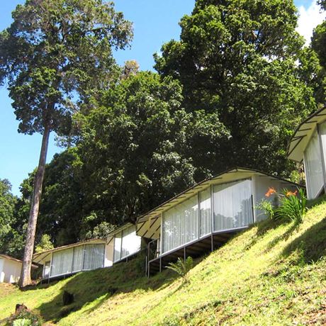 Bungalow Dantica Cloud Forest Lodge Aussenansicht 04 Blick auf die Bungalows der Dantica Cloud Forest Lodge