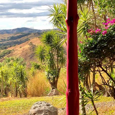 Bungalows El Sol Honey Sun Cabin 04 Ausblick aus der Honey Sun Cabin der Bungalows El Sol