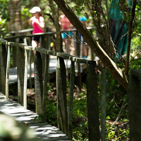 Costa Rica Wanderpfad Manche Nationalparks sind mit gutausgebauten Wanderpfaden ausgestattet