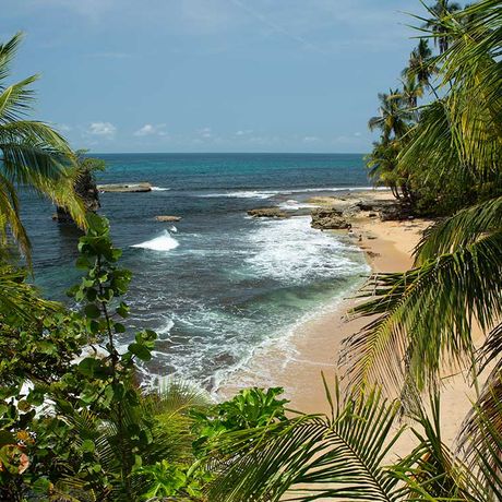 Costa Rica Karibikküste Blick auf den Strand von Manzanillo