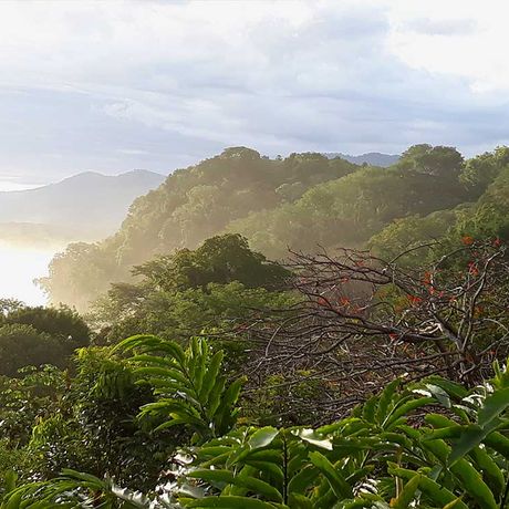 Ausblick von den Bungalows Diquis del Sur 