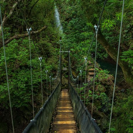 Blick auf eine Hängebrücke