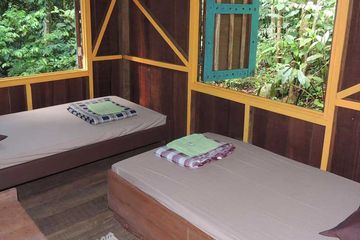 Dschungel-Lodge Yatama Ecolodge Bungalow mit Waldblick 03