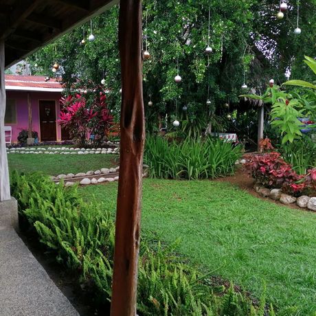 Ein grüner, liebevoll angelegter Garten einer Pension