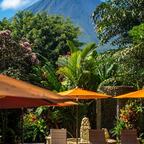 Costa Rica Resort Entspannung Liebevoll gestalteter Entspannungsbereich mit Liegen und Sonnenschirmen am Fuße des Vulkans