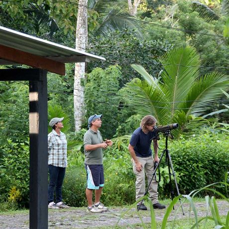 Die bunte Tier- und Pflanzenwelt eines der schönsten Nationalparks Costa Ricas