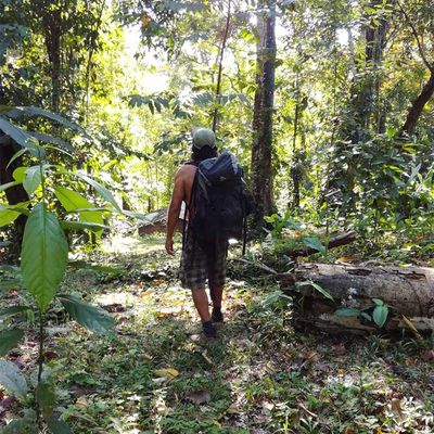 Naturkundliche Exkursion im Nationalpark Cahuita 03