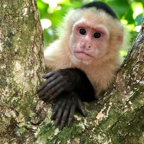 Genießen sie die Flora und Fauna unter Leitung von erfahrenen Guides.