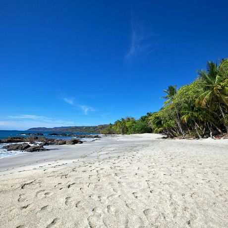 Costa Rica Strandunterkunft Strand Langer, heller Sandstrand mit Felsen und grünen Palmen