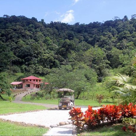 Finca Mei Tai Grüne Blick ins Grüne