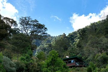 Bungalow Trogon Lodge Superiorzimmer 01