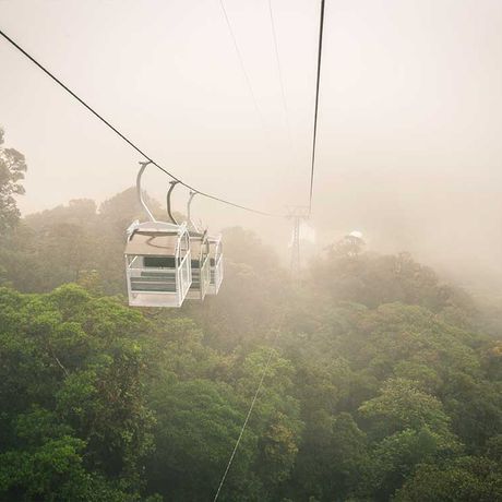 Seilbahnfahrt über dem Blätterdach des Nebelwaldes von Monteve Blick auf eine Seilbahn bei der Seilbahnfahrt über dem Blätterdach des Nebelwaldes von Monteverde