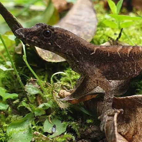 Auch Amphibien nennen das Reservat ihr Zuhause
