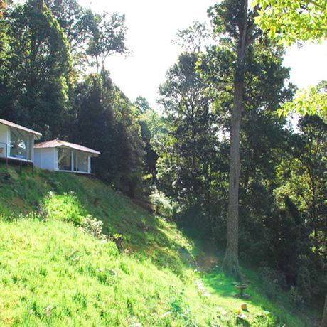 Bungalow Dantica Cloud Forest Lodge Aussenansicht 05 Blick auf die Bungalows der Dantica Cloud Forest Lodge