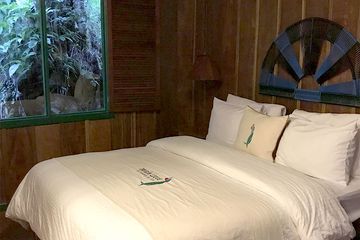 Bungalow Trogon Lodge Standardzimmer 01