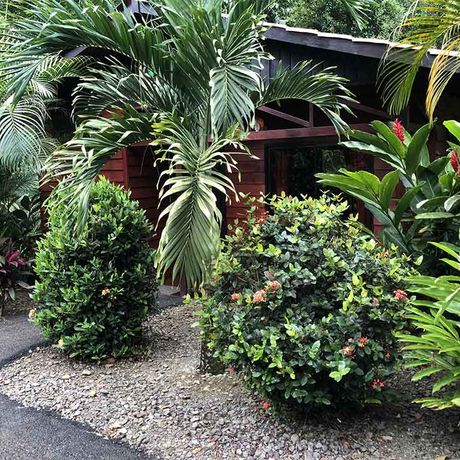 Außenansicht des Standardbungalows der Heliconias Nature Lodge