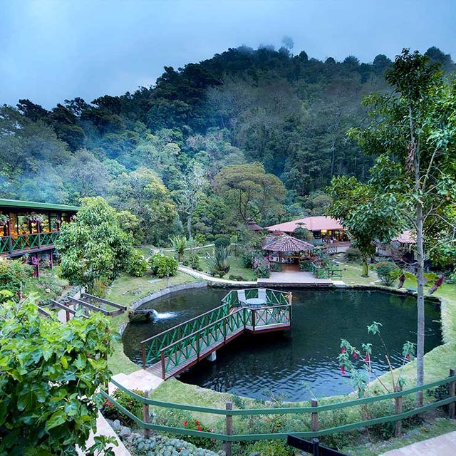 Bungalow Trogon Lodge Aussenansicht 05