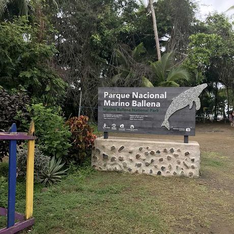 Beobachten sie wie Wale und Delfine aus dem Meer springen und erleben sie Gänsehautmomente in der freien Natur auf dem Ozean des Meeresnationalparks Ballena.