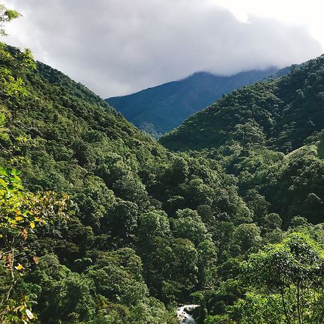 Urwaldwanderung Cloudbridge Panorama Spektakuläre Natursichtungen erwarten Sie