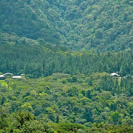 Hotel Arenal Observatory Lodge & Spa Aussenansicht Aussenansicht des Hotel Arenal Observatory Lodge & Spa