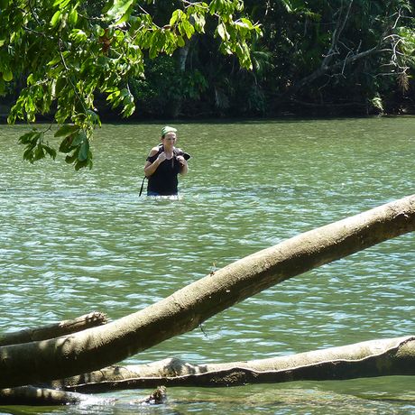 Exkursionen im Corcovado führen durch die unberührte Natur 