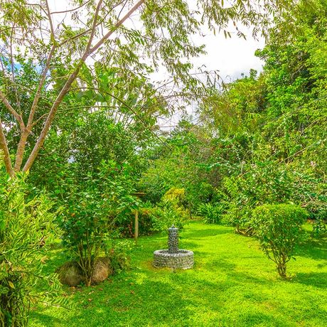 Blick in den Garten der Bungalows Mono Feliz