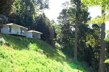 Bungalow Dantica Cloud Forest Lodge_Superior 04