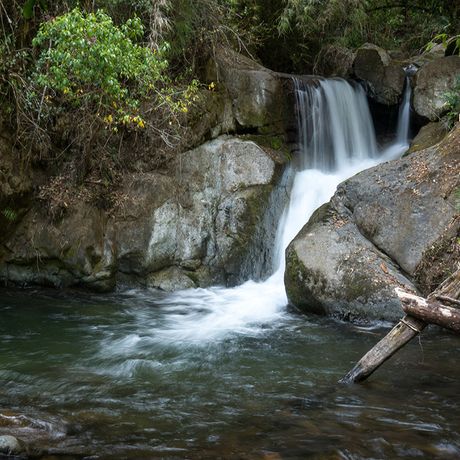 Das Hochland verzaubert Sie mit verwunschenen Flüssen im Nebelwald